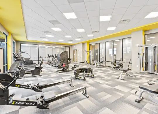 Gym (9)